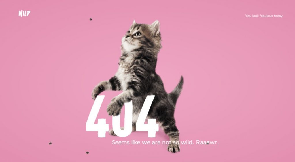 its-hard-to-beat-the-combination-of-a-kitten-and-a-compliment-from-design-agency-wild