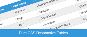 pure css responsive table