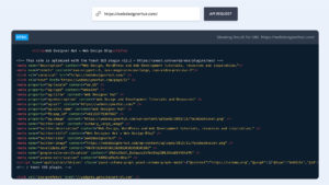 Scrapestack API Tool, Real-time Web Scraping REST API