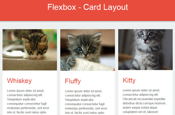 Flexbox - Responsive Card Layout By Mynor Alexander